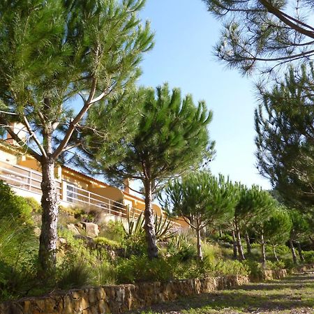 Quinta Raposeiros Leilighet Santo Isidoro Eksteriør bilde
