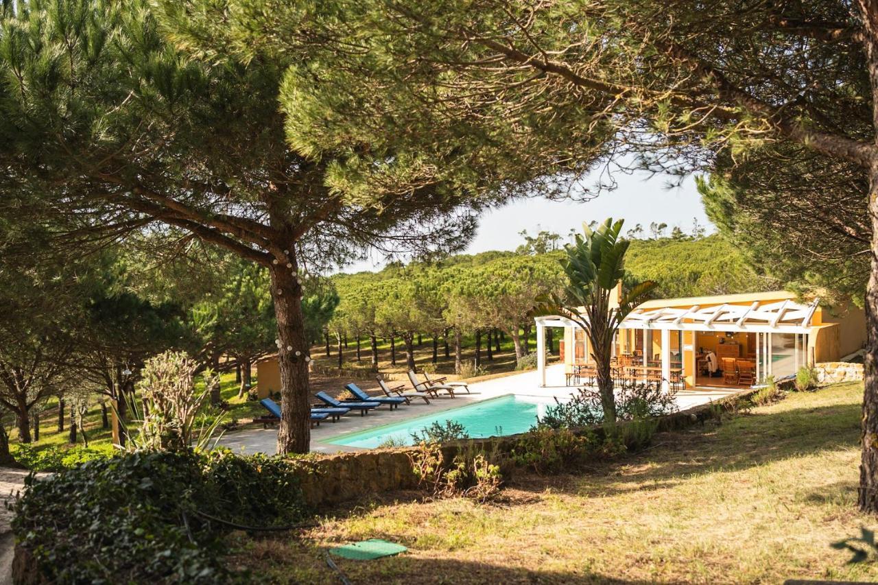 Quinta Raposeiros Leilighet Santo Isidoro Eksteriør bilde