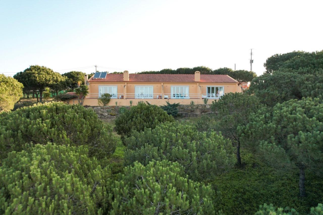 Quinta Raposeiros Leilighet Santo Isidoro Eksteriør bilde