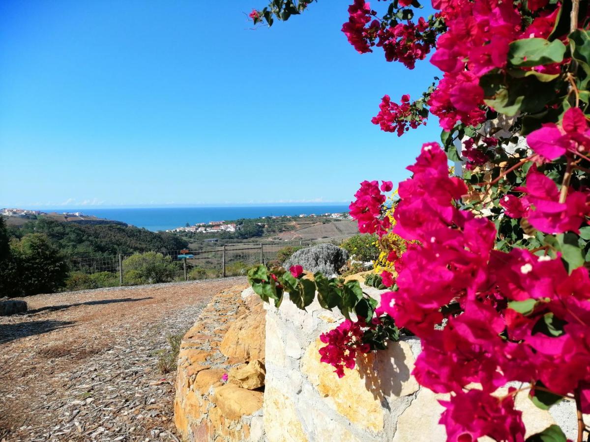 Quinta Raposeiros Leilighet Santo Isidoro Eksteriør bilde