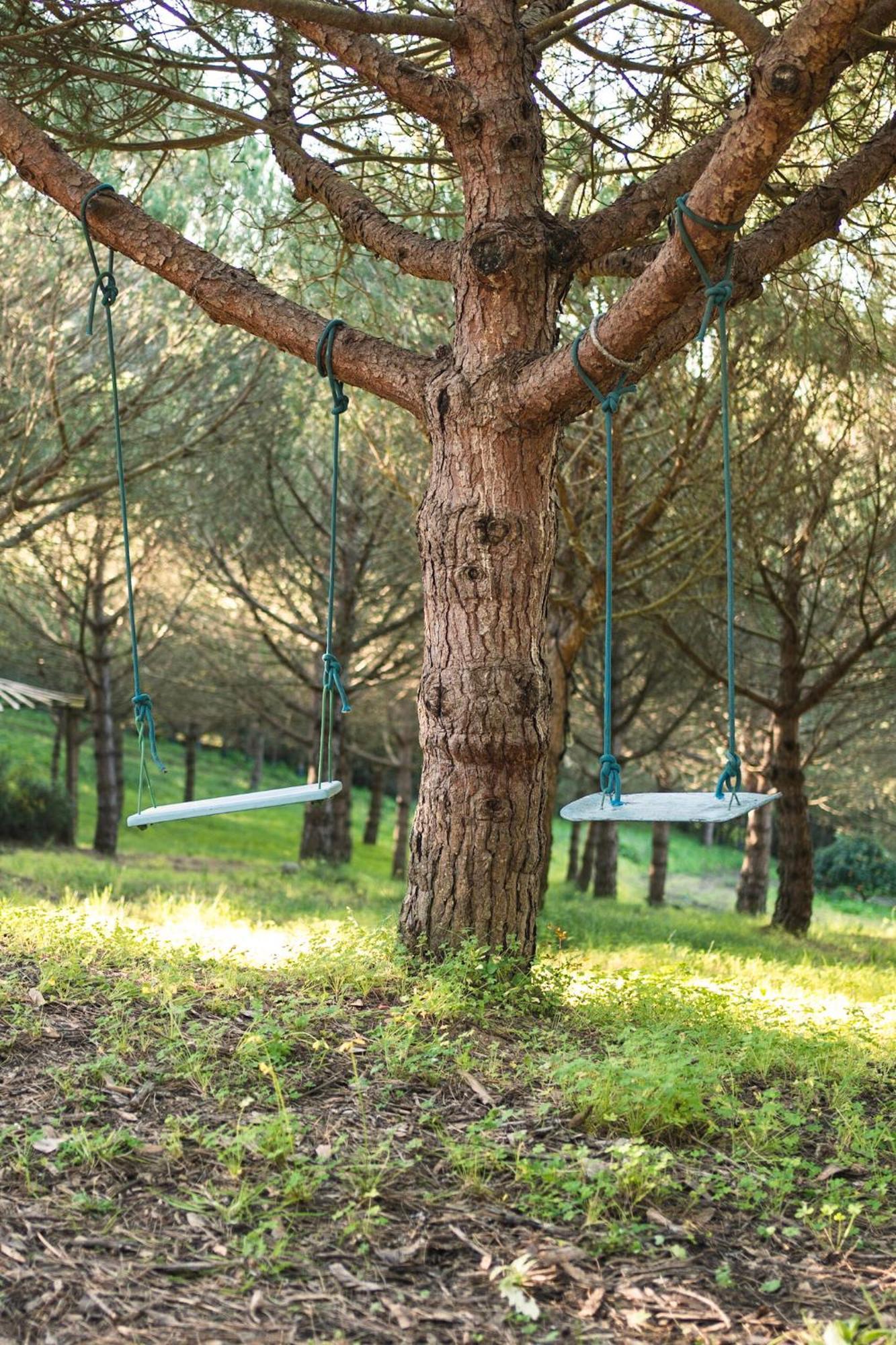 Quinta Raposeiros Leilighet Santo Isidoro Eksteriør bilde