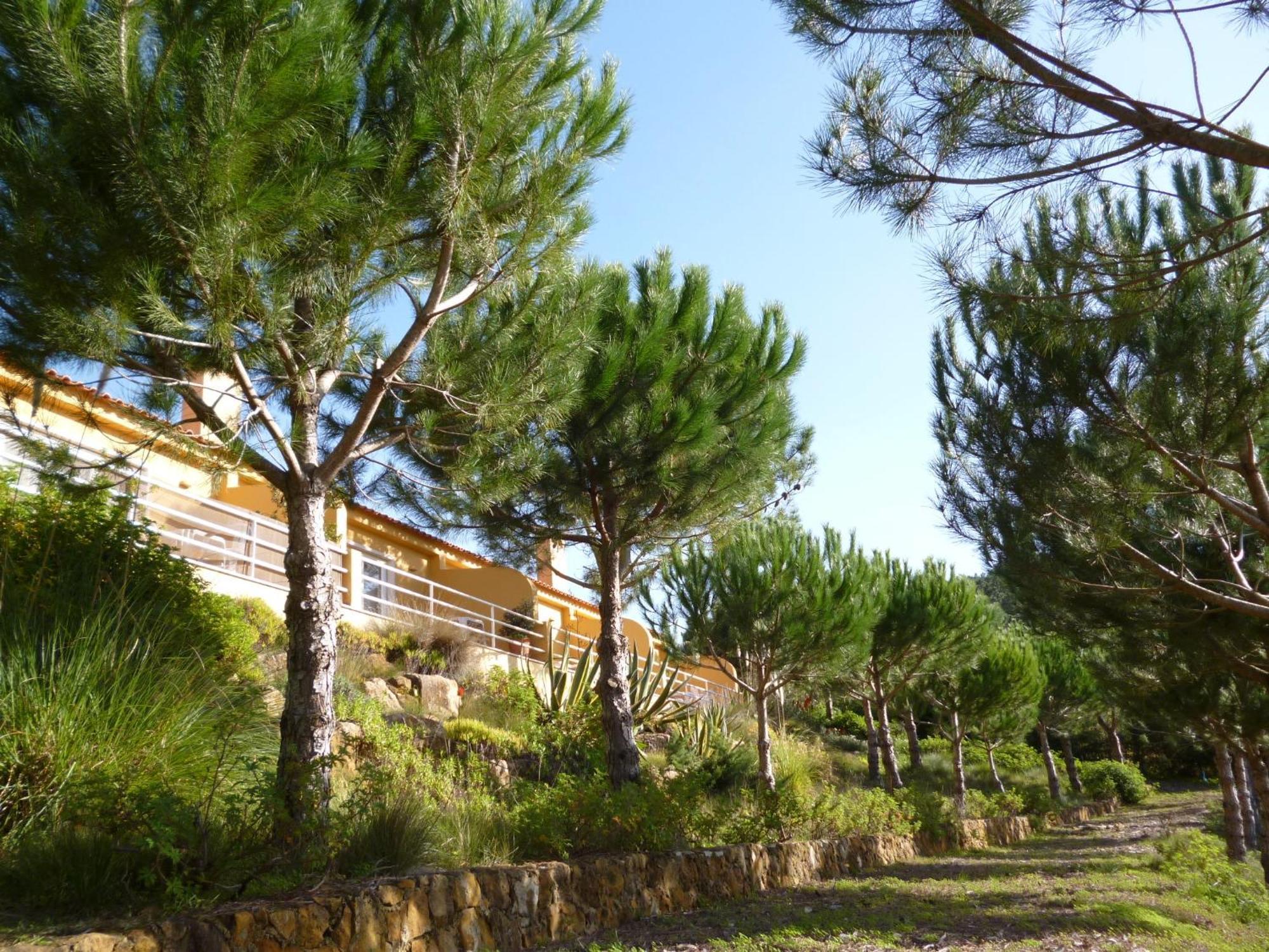 Quinta Raposeiros Leilighet Santo Isidoro Eksteriør bilde