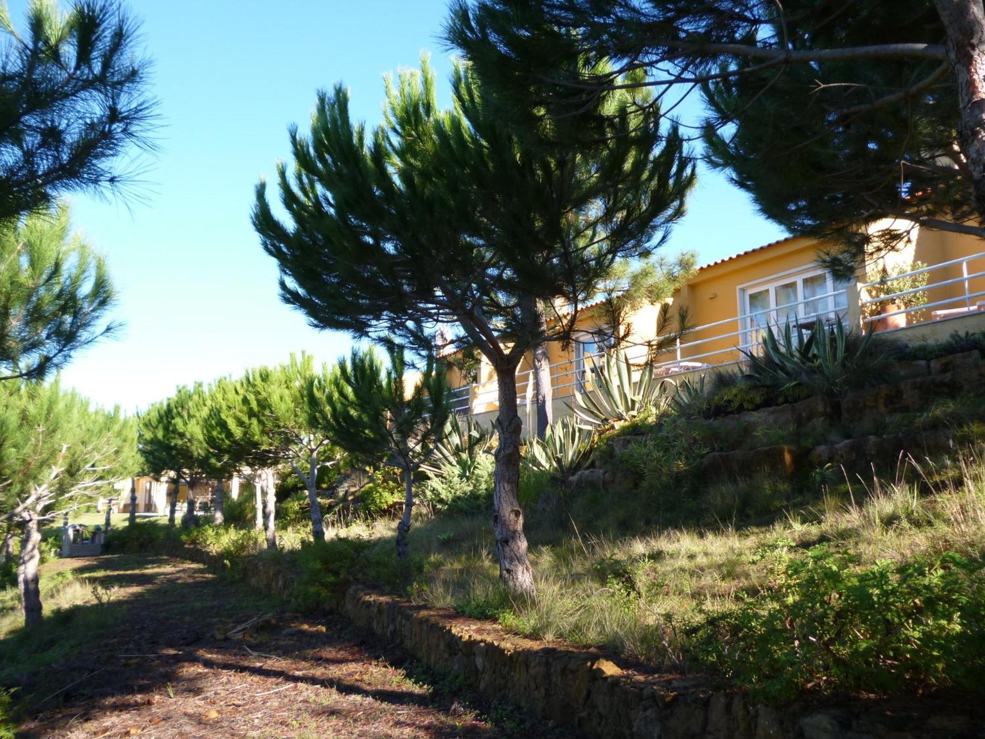 Quinta Raposeiros Leilighet Santo Isidoro Eksteriør bilde