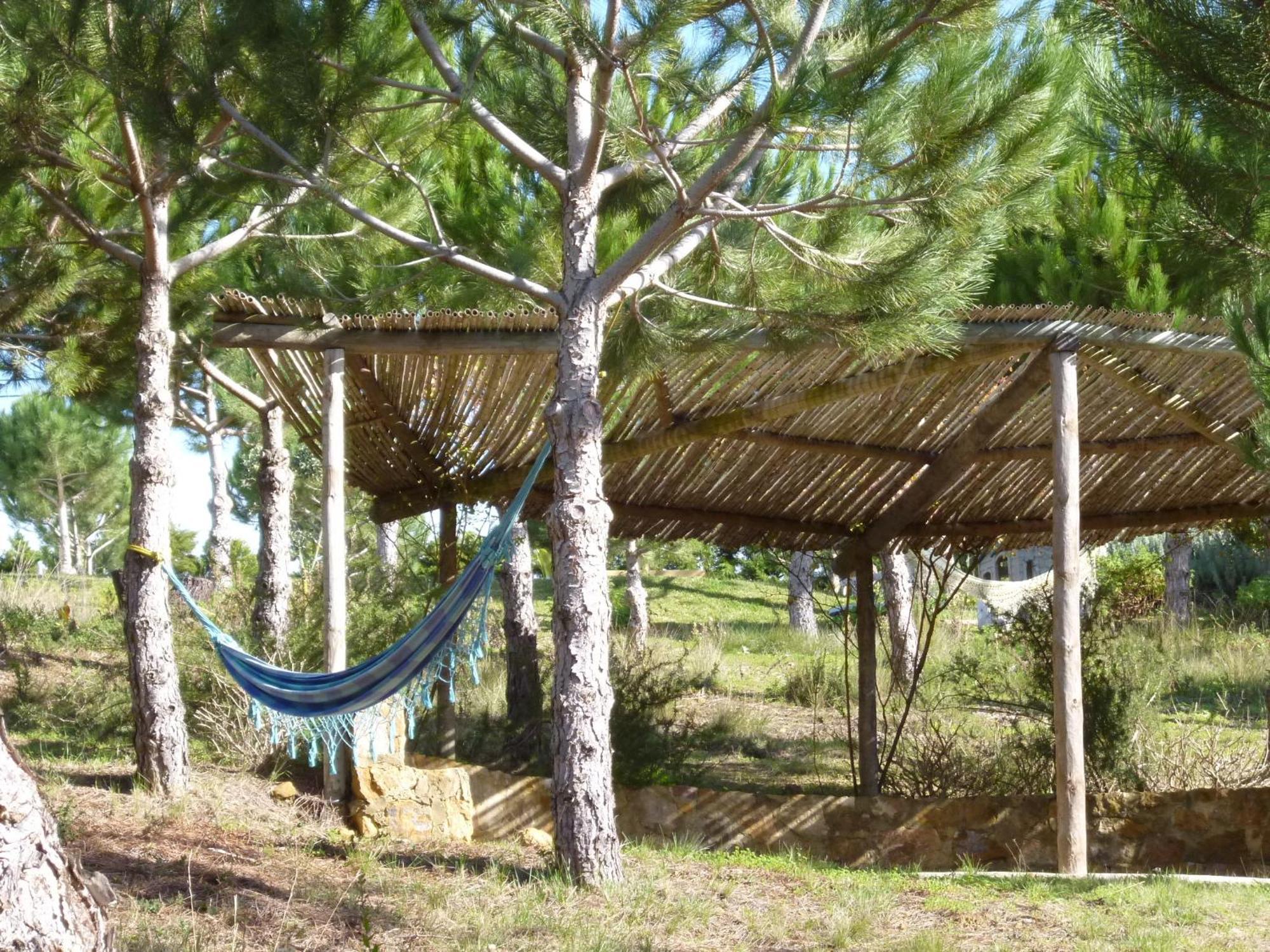 Quinta Raposeiros Leilighet Santo Isidoro Eksteriør bilde